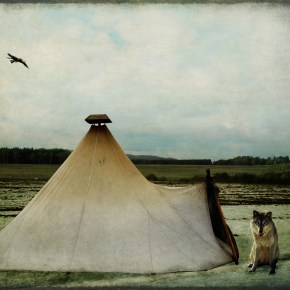 Podcast #37: Type II&nbsp;Fun